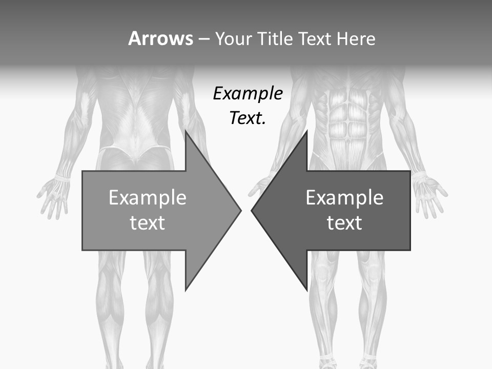 Male Muscles - Pencil Drawing Style - 3D Render - Special Shaders Were Used During The Rendering Process To Create The Appearance Of A Pencil Drawing. PowerPoint Template