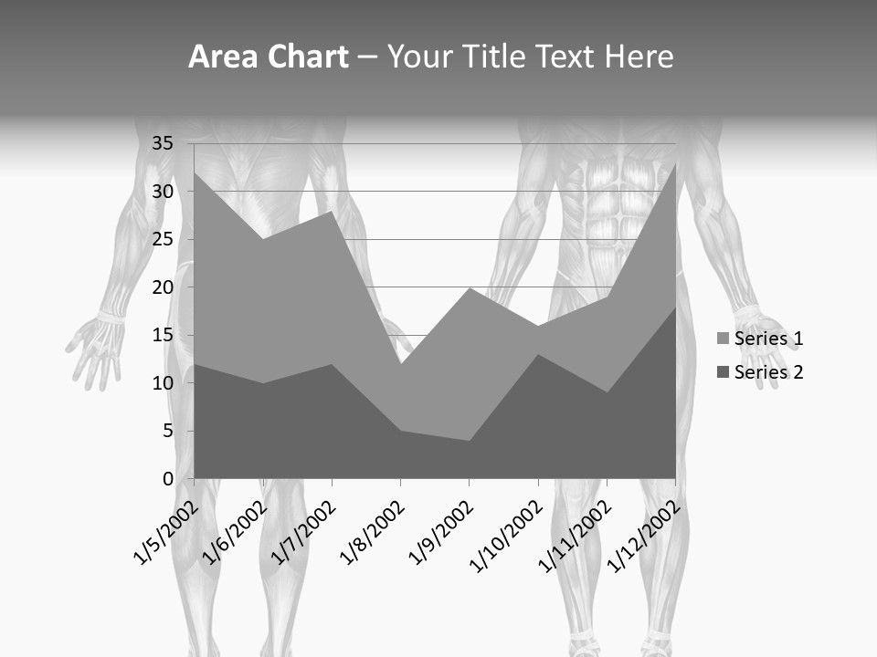 Male Muscles - Pencil Drawing Style - 3D Render - Special Shaders Were Used During The Rendering Process To Create The Appearance Of A Pencil Drawing. PowerPoint Template