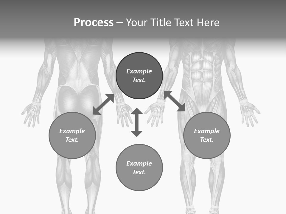 Male Muscles - Pencil Drawing Style - 3D Render - Special Shaders Were Used During The Rendering Process To Create The Appearance Of A Pencil Drawing. PowerPoint Template