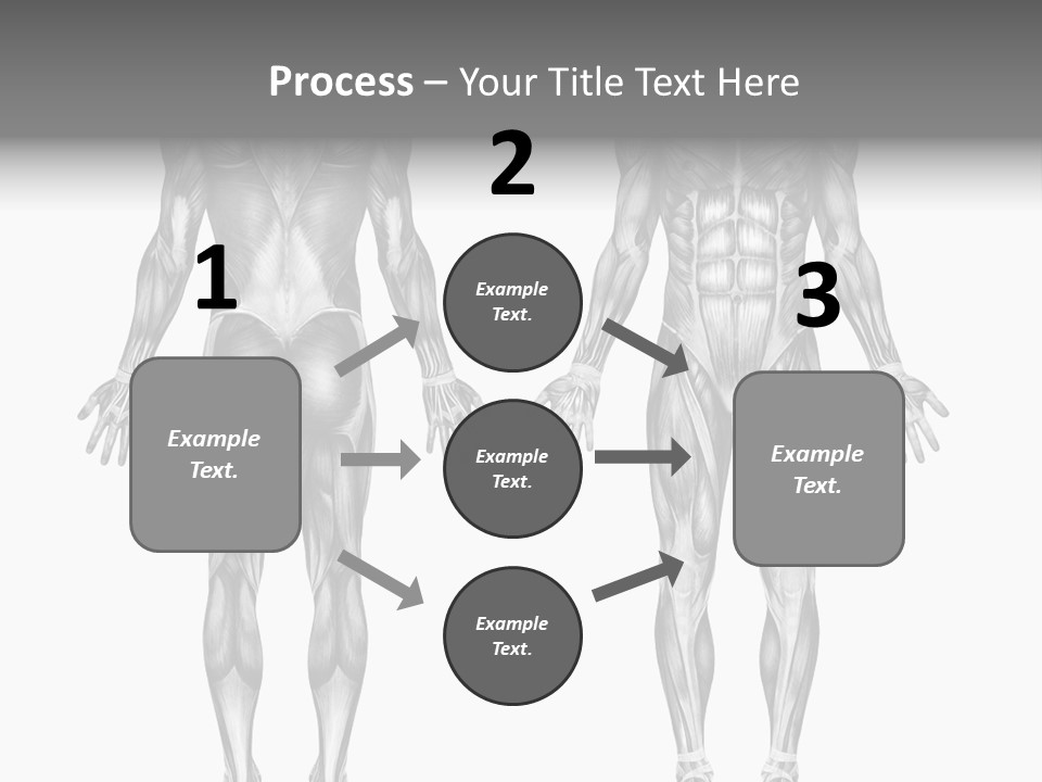 Male Muscles - Pencil Drawing Style - 3D Render - Special Shaders Were Used During The Rendering Process To Create The Appearance Of A Pencil Drawing. PowerPoint Template