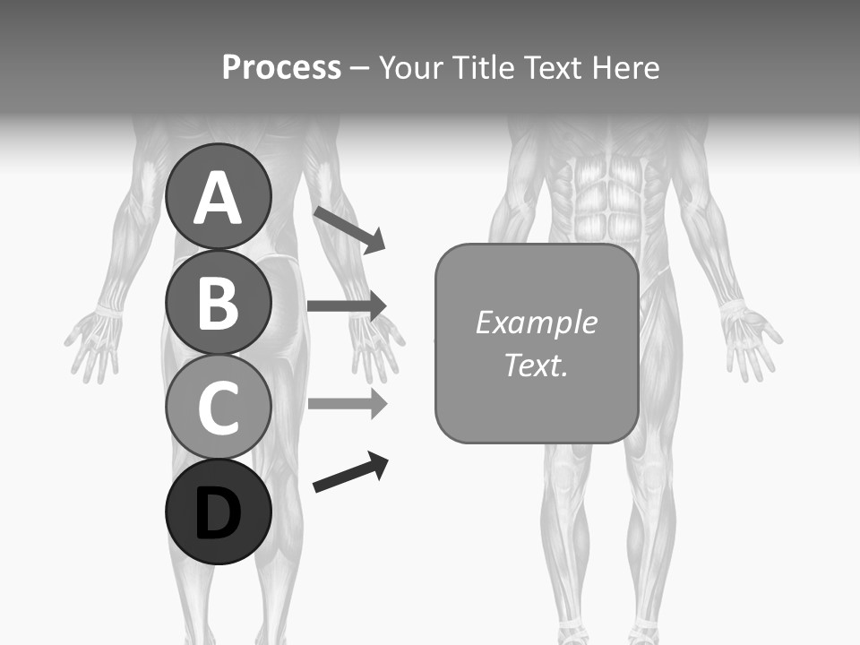 Male Muscles - Pencil Drawing Style - 3D Render - Special Shaders Were Used During The Rendering Process To Create The Appearance Of A Pencil Drawing. PowerPoint Template