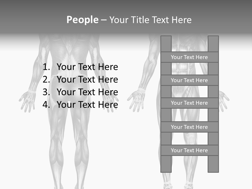 Male Muscles - Pencil Drawing Style - 3D Render - Special Shaders Were Used During The Rendering Process To Create The Appearance Of A Pencil Drawing. PowerPoint Template