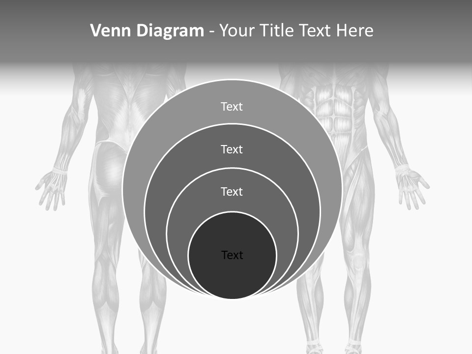 Male Muscles - Pencil Drawing Style - 3D Render - Special Shaders Were Used During The Rendering Process To Create The Appearance Of A Pencil Drawing. PowerPoint Template