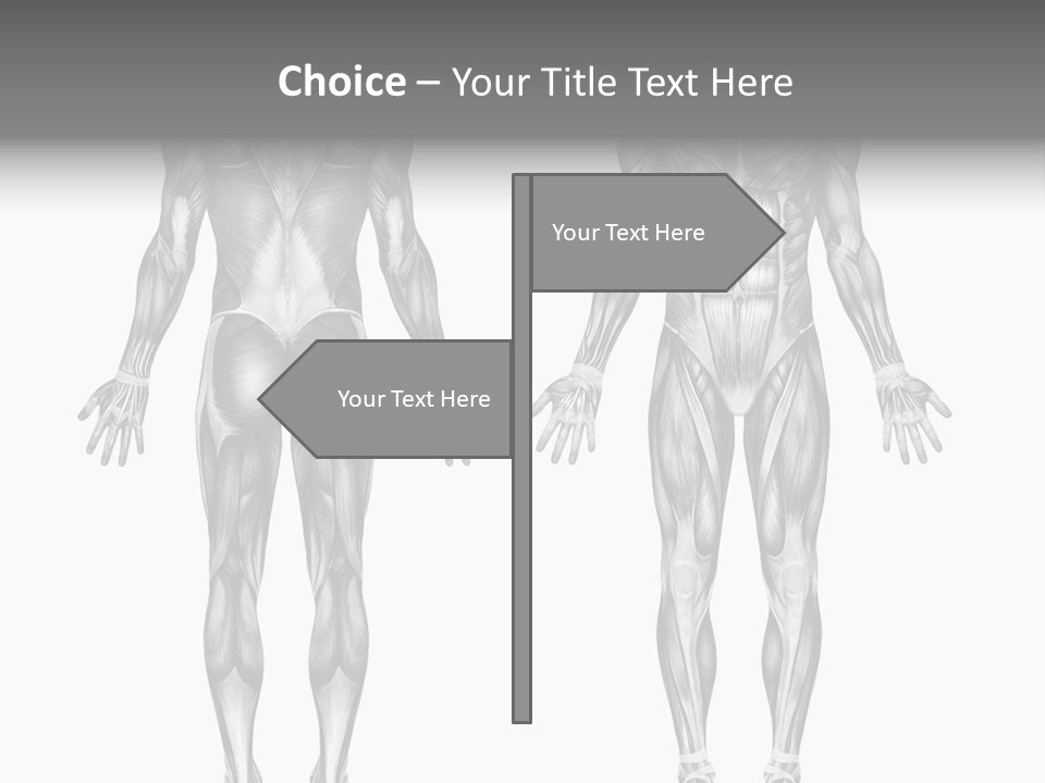 Male Muscles - Pencil Drawing Style - 3D Render - Special Shaders Were Used During The Rendering Process To Create The Appearance Of A Pencil Drawing. PowerPoint Template