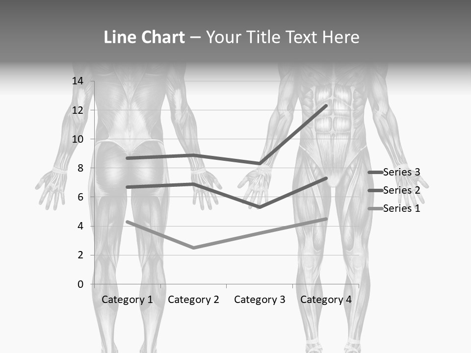 Male Muscles - Pencil Drawing Style - 3D Render - Special Shaders Were Used During The Rendering Process To Create The Appearance Of A Pencil Drawing. PowerPoint Template