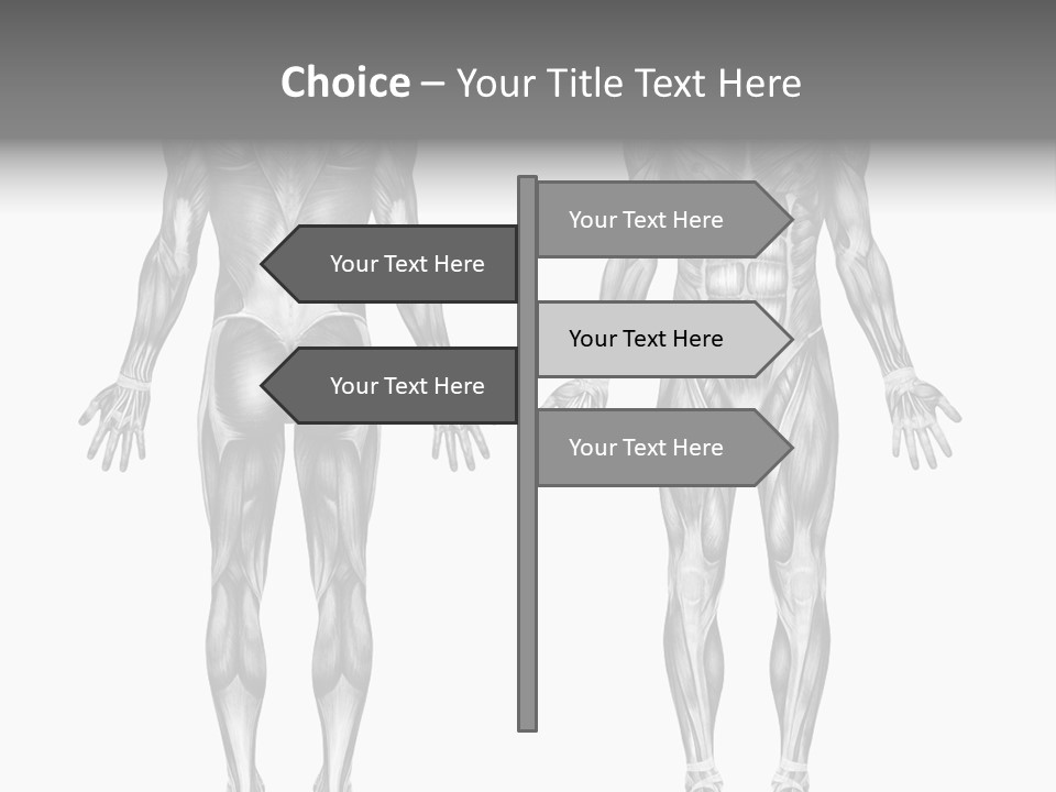 Male Muscles - Pencil Drawing Style - 3D Render - Special Shaders Were Used During The Rendering Process To Create The Appearance Of A Pencil Drawing. PowerPoint Template