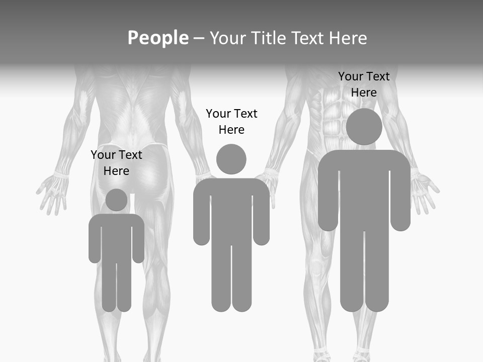 Male Muscles - Pencil Drawing Style - 3D Render - Special Shaders Were Used During The Rendering Process To Create The Appearance Of A Pencil Drawing. PowerPoint Template