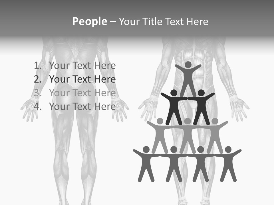 Male Muscles - Pencil Drawing Style - 3D Render - Special Shaders Were Used During The Rendering Process To Create The Appearance Of A Pencil Drawing. PowerPoint Template