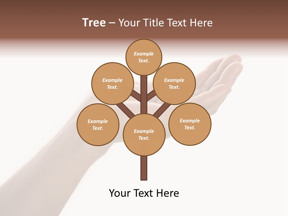 An Open Palm In Gesture Of Pleading Or Requesting, Isolated On White. PowerPoint Template