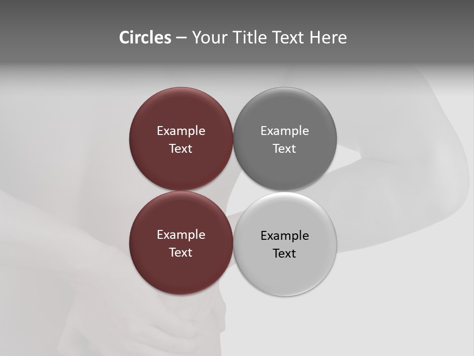 Bulldog Drinking From Swimming Pool PowerPoint Template