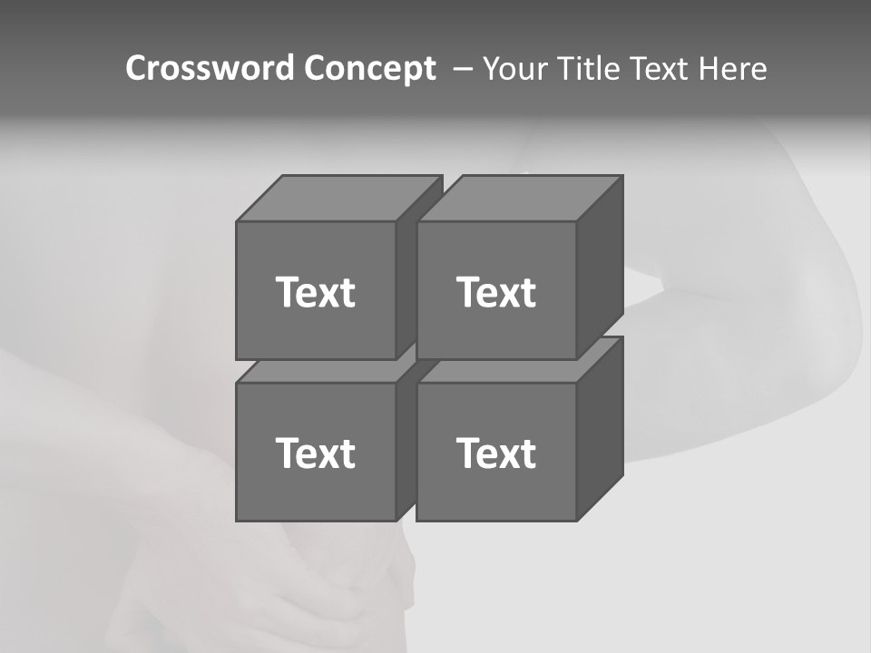 Bulldog Drinking From Swimming Pool PowerPoint Template