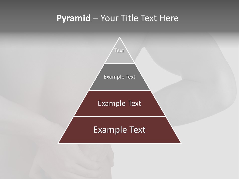 Bulldog Drinking From Swimming Pool PowerPoint Template