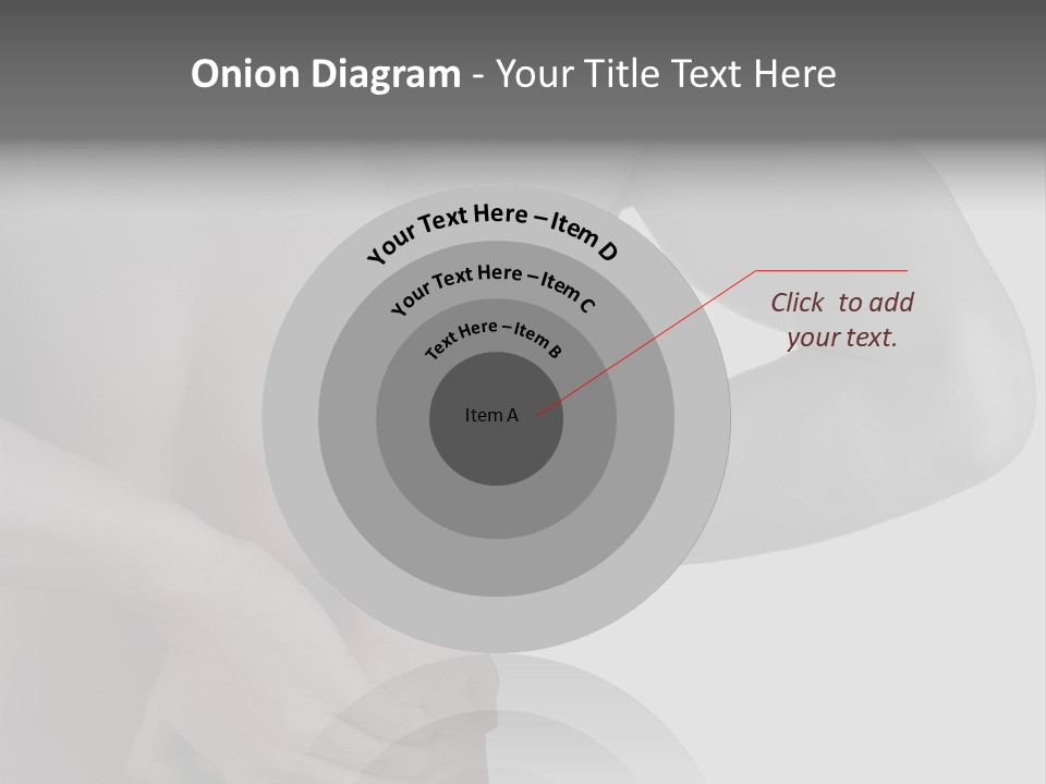 Bulldog Drinking From Swimming Pool PowerPoint Template