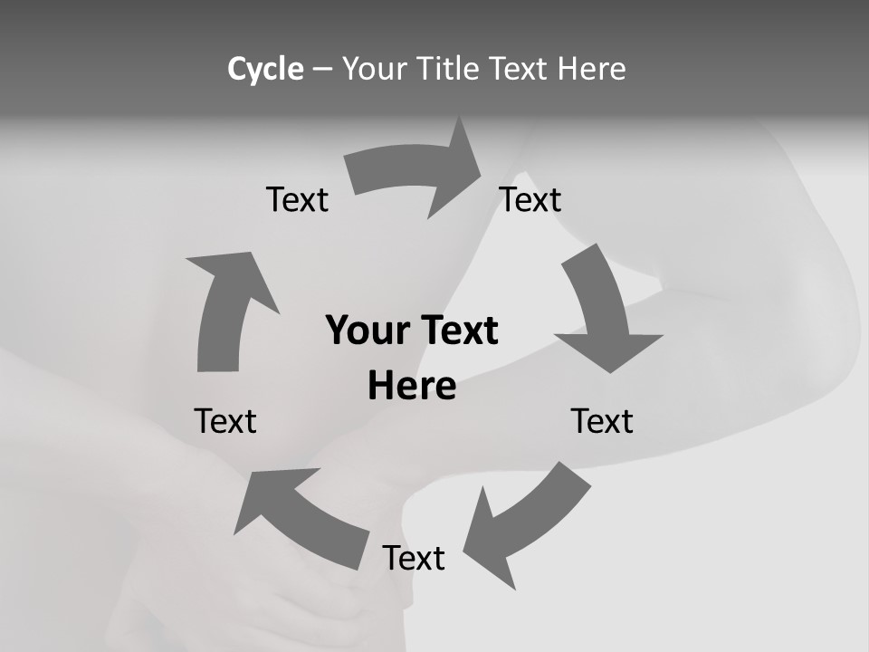 Bulldog Drinking From Swimming Pool PowerPoint Template