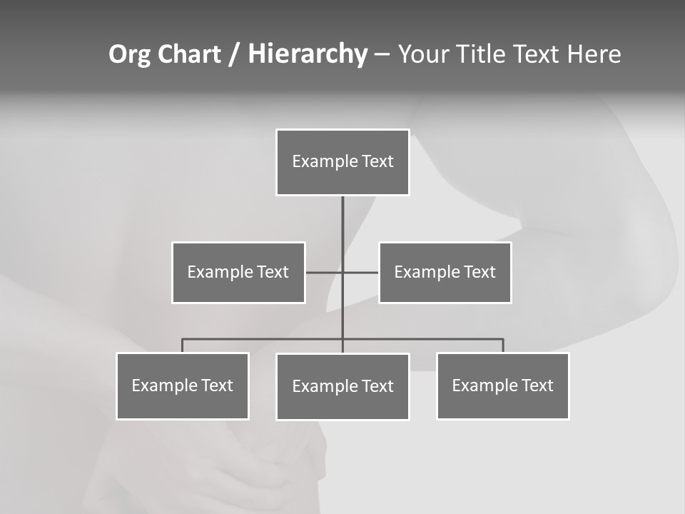 Bulldog Drinking From Swimming Pool PowerPoint Template