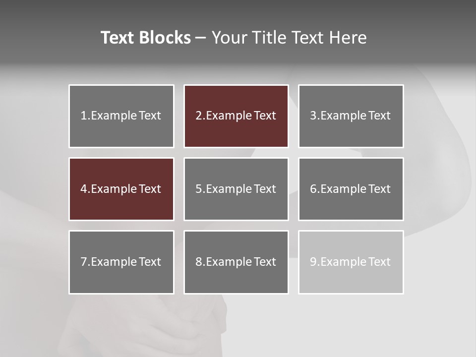 Bulldog Drinking From Swimming Pool PowerPoint Template