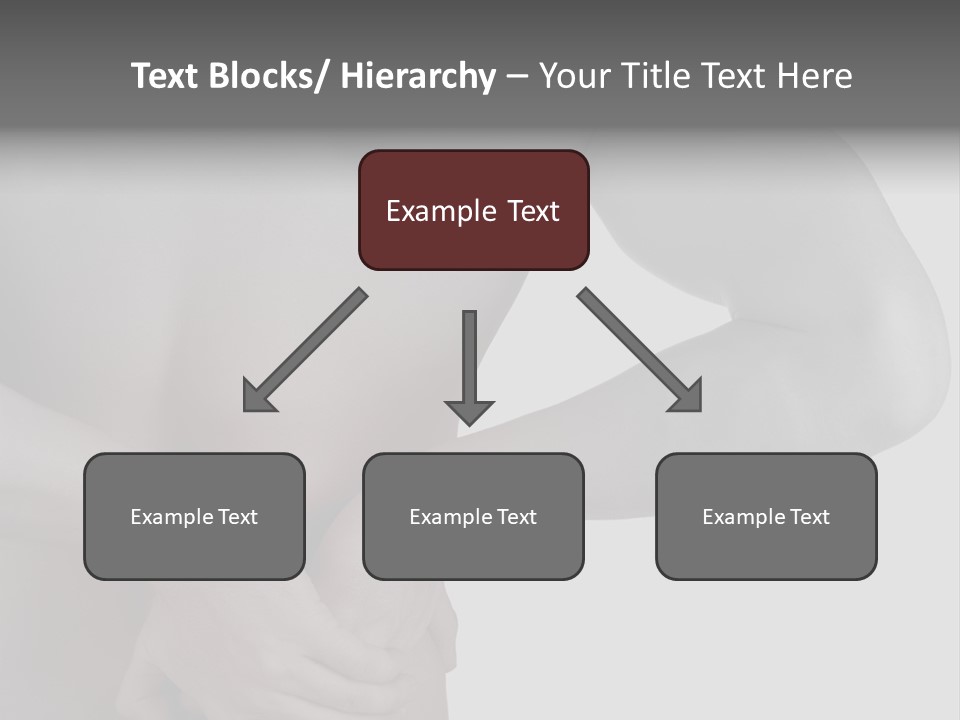 Bulldog Drinking From Swimming Pool PowerPoint Template