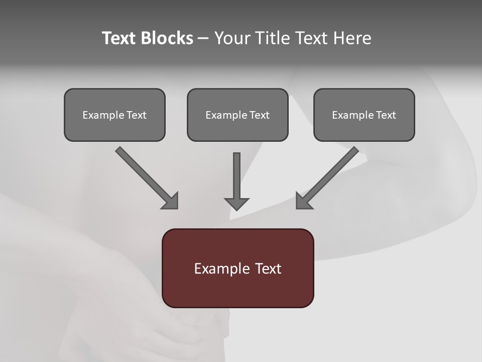 Bulldog Drinking From Swimming Pool PowerPoint Template