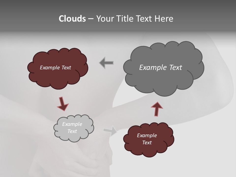 Bulldog Drinking From Swimming Pool PowerPoint Template