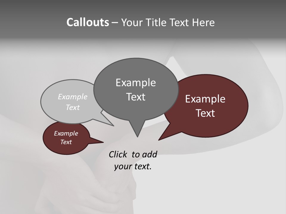 Bulldog Drinking From Swimming Pool PowerPoint Template