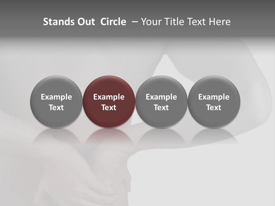 Bulldog Drinking From Swimming Pool PowerPoint Template