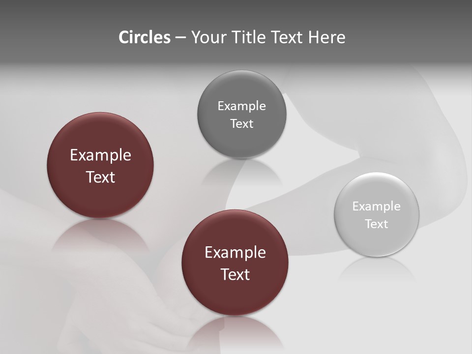 Bulldog Drinking From Swimming Pool PowerPoint Template