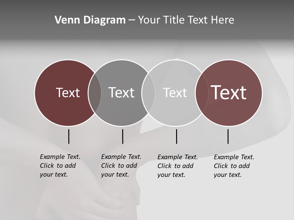 Bulldog Drinking From Swimming Pool PowerPoint Template