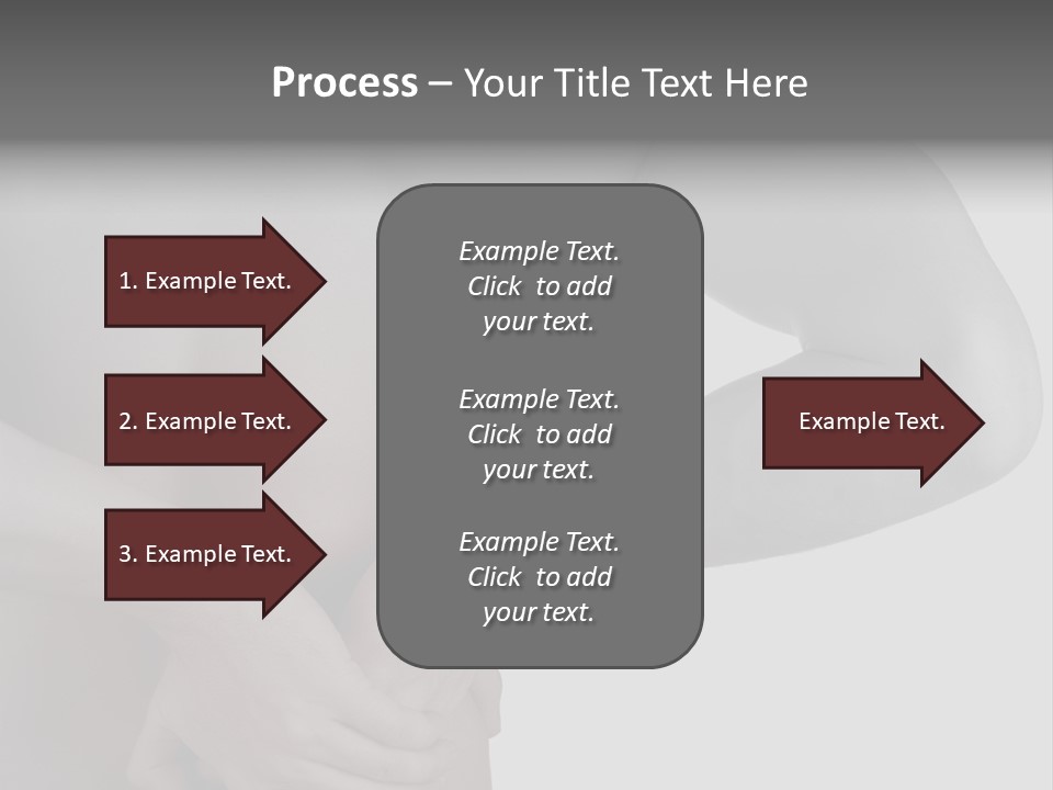 Bulldog Drinking From Swimming Pool PowerPoint Template