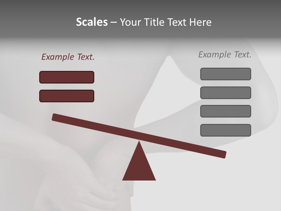 Bulldog Drinking From Swimming Pool PowerPoint Template