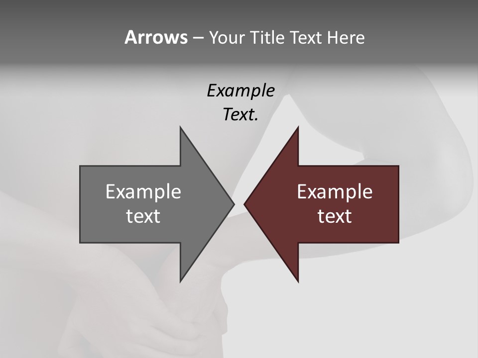 Bulldog Drinking From Swimming Pool PowerPoint Template