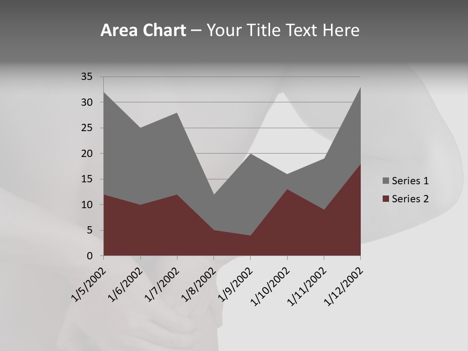 Bulldog Drinking From Swimming Pool PowerPoint Template