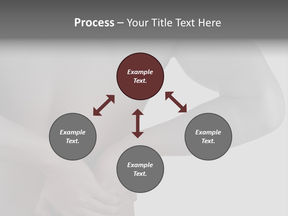 Bulldog Drinking From Swimming Pool PowerPoint Template