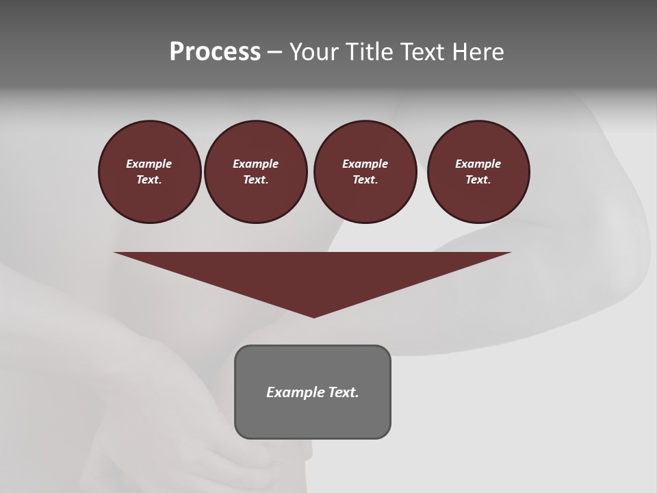 Bulldog Drinking From Swimming Pool PowerPoint Template