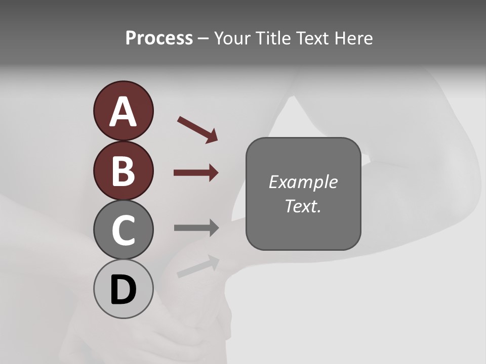 Bulldog Drinking From Swimming Pool PowerPoint Template