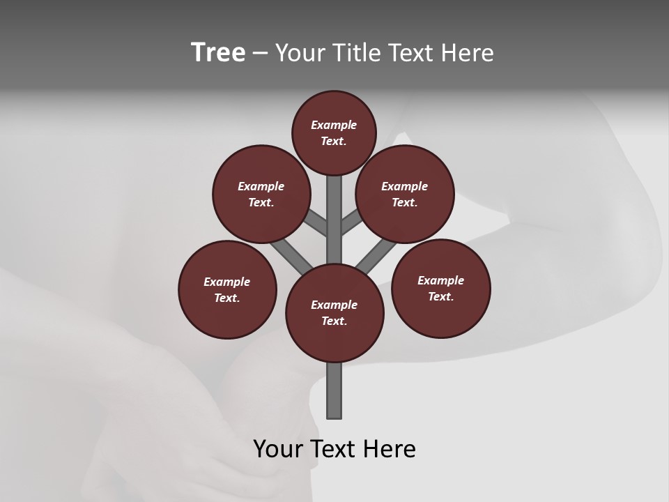 Bulldog Drinking From Swimming Pool PowerPoint Template