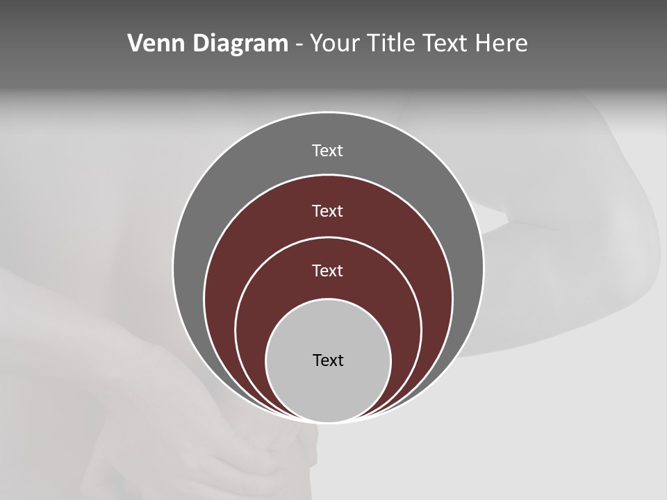 Bulldog Drinking From Swimming Pool PowerPoint Template