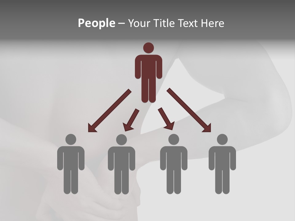 Bulldog Drinking From Swimming Pool PowerPoint Template