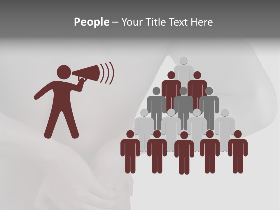 Bulldog Drinking From Swimming Pool PowerPoint Template