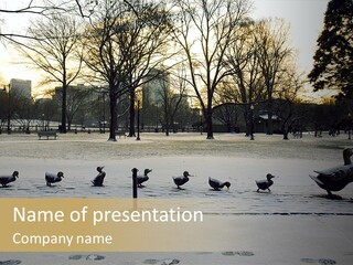 The Famous Family Of Brass Ducks In Boston's Public Gardens After A Small Snow Storm At Sunrise With Skyscrapers In The Background PowerPoint Template