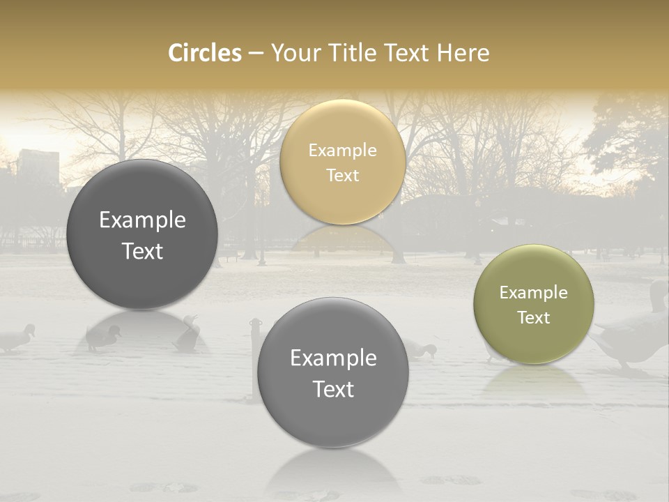 The Famous Family Of Brass Ducks In Boston's Public Gardens After A Small Snow Storm At Sunrise With Skyscrapers In The Background PowerPoint Template