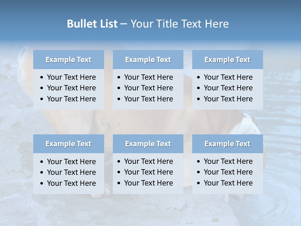 Bulldog Drinking From Swimming Pool PowerPoint Template