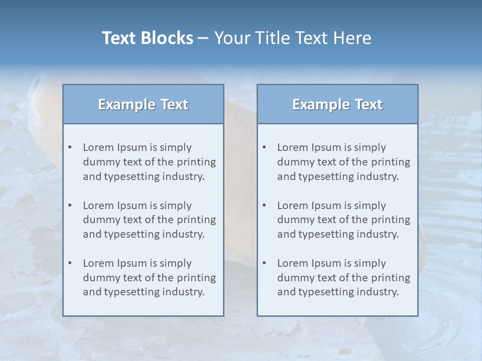 Bulldog Drinking From Swimming Pool PowerPoint Template