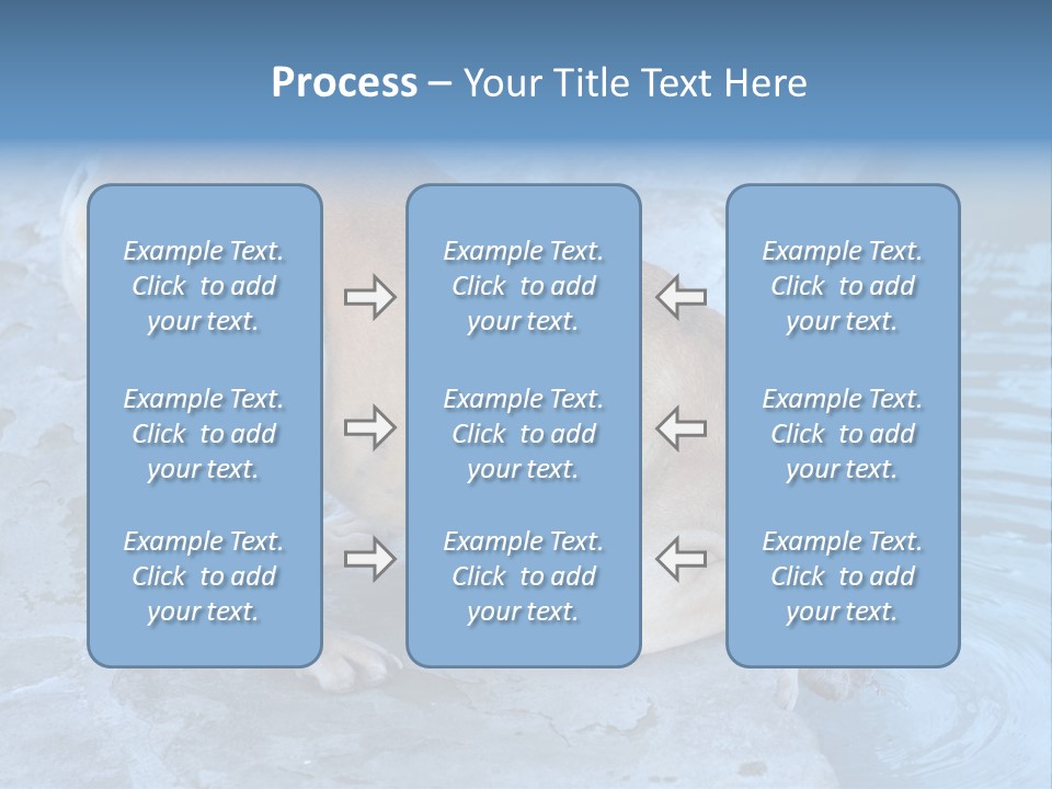 Bulldog Drinking From Swimming Pool PowerPoint Template