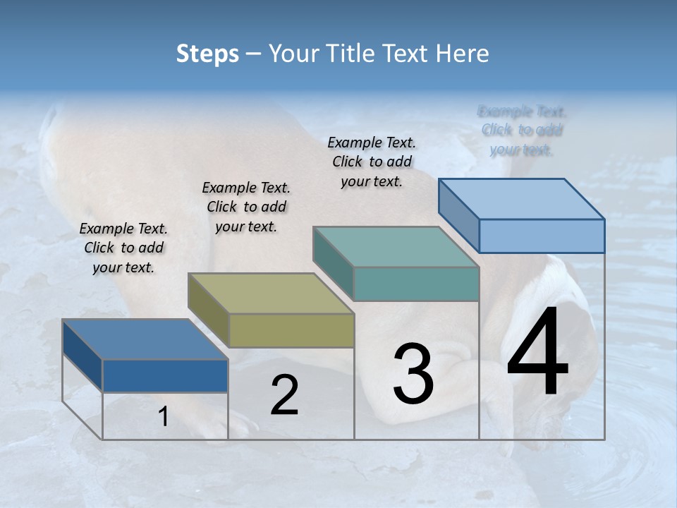 Bulldog Drinking From Swimming Pool PowerPoint Template