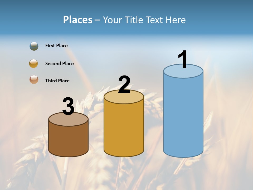 Wheat Closeup PowerPoint Template