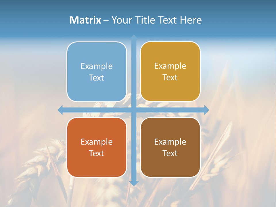 Wheat Closeup PowerPoint Template