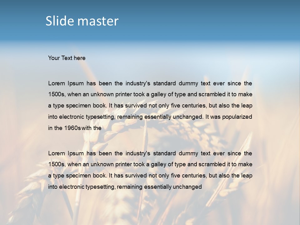 Wheat Closeup PowerPoint Template