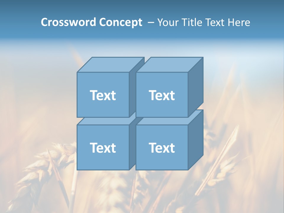 Wheat Closeup PowerPoint Template