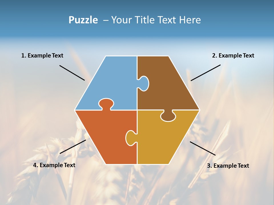 Wheat Closeup PowerPoint Template