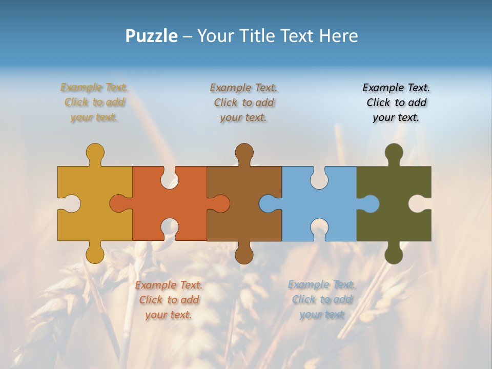 Wheat Closeup PowerPoint Template